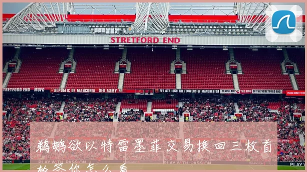 鹈鹕欲以特雷墨菲交易换回三枚首轮签你怎么看