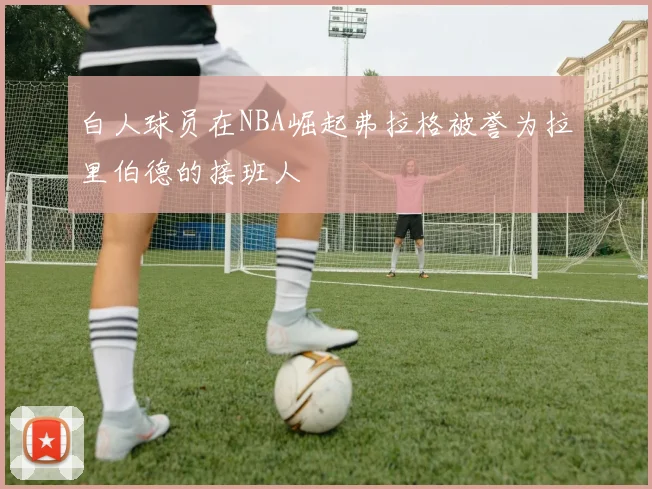 白人球员在NBA崛起弗拉格被誉为拉里伯德的接班人