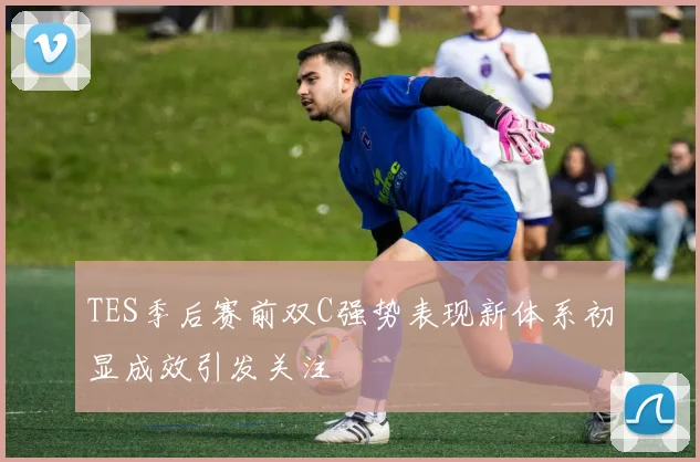 TES季后赛前双C强势表现新体系初显成效引发关注
