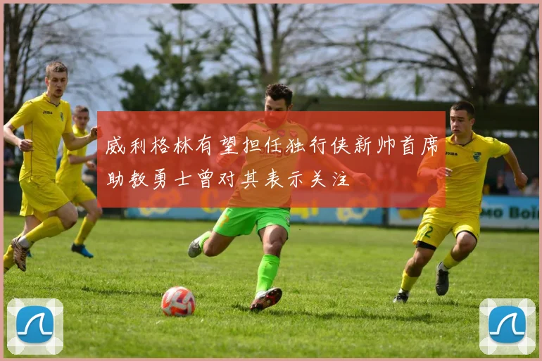 威利格林有望担任独行侠新帅首席助教勇士曾对其表示关注